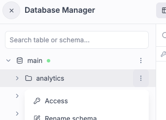 Schema access menu Schema access menu